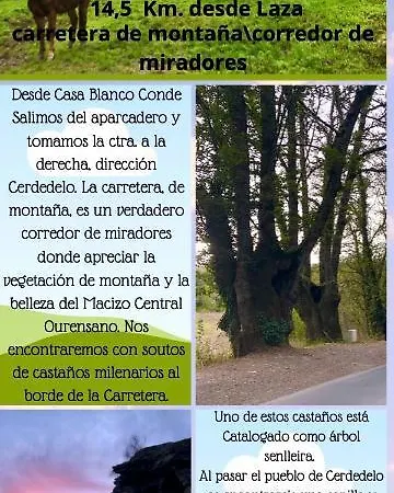 Ferienwohnung El Camino Laza Exterior foto